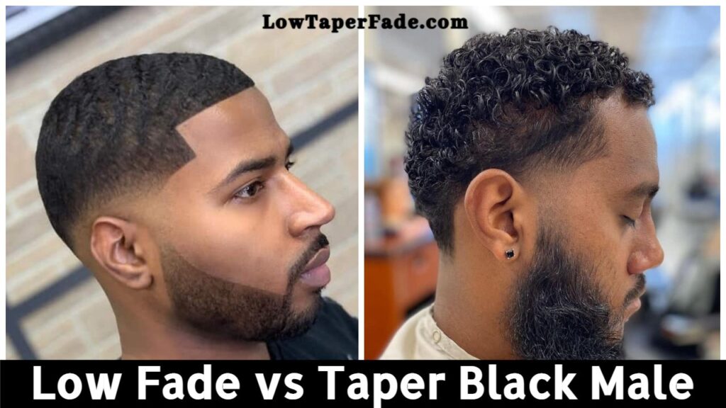 Low Fade vs Taper Black Male