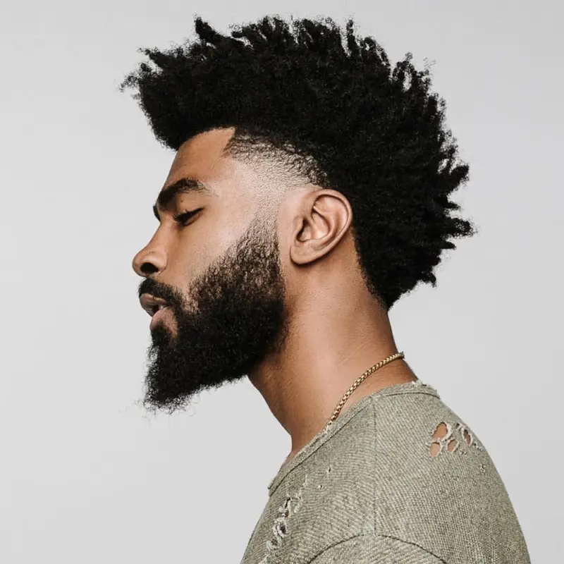 Low Taper Fade Afro Haircut for Men