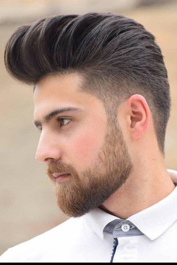 Low Taper Fade Long Hair on Top